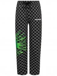Брюки спортивные Sprayground