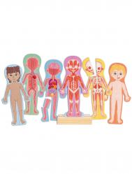 Игрушка развивающая Hape