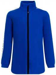 Толстовка BASK