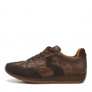  Salamander