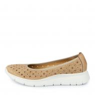  Salamander