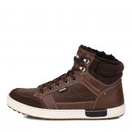  Briggs