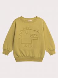 Свитшот для мальчика