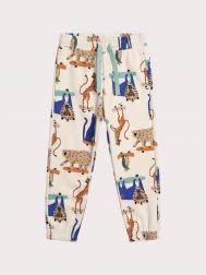 Брюки для мальчика