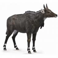 Антилопа нильгау M Collecta