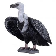 Белоголовый сип Konik