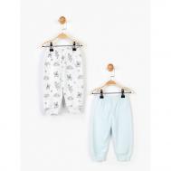 Брюки для малышей PN14827 2 шт. Panolino