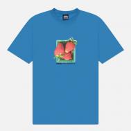 Мужская футболка  Berries, цвет синий, размер XL Stussy