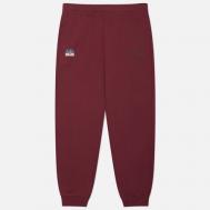 Мужские брюки  Brushstroke Seagull & Logo Print Straight Fit, цвет бордовый, размер L Evisu