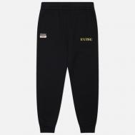 Мужские брюки  Heritage Seagull Brocade Applique, цвет чёрный, размер XXL Evisu