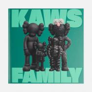 Книга DelMonico Books KAWS: Family, цвет зелёный Book Publishers
