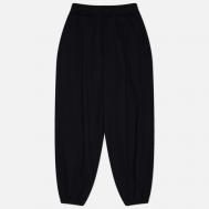 Мужские брюки  Loose Fit Jogger Sweat, цвет чёрный, размер L ANGLAN