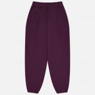 Мужские брюки  Loose Fit Jogger Sweat, цвет фиолетовый, размер L ANGLAN