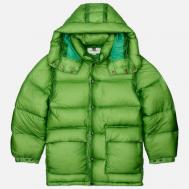 Мужской пуховик  Alpinist Puffer Down, цвет зелёный, размер L EASTLOGUE