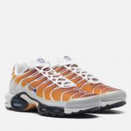Кроссовки  x One Block Down Air Max Plus SP, цвет коричневый, размер 40.5 EU Nike