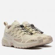 Мужские кроссовки  ACS + OG, цвет бежевый, размер 41.5 EU Salomon Advanced