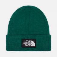 Шапка  TNF Logo Box Cuffed Recycled, цвет зелёный THE NORTH FACE