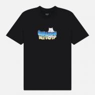 Мужская футболка  Chroma, цвет чёрный, размер M RIPNDIP