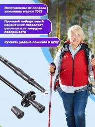 Палки для ходьбы TT EVEREST треккинговые раздвижные C EVA РУЧКОЙ TT 105-135 см BLUE Tech Team