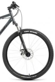 Горный велосипед  SPORTING 29 2.1 D (2023) Forward