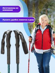 Палки для ходьбы TT HIMALAYAS треккинговые раздвижные C УДЛИНЕННОЙ РУЧКОЙ TT 105-135 см BLUE Tech Team