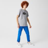 Мужские классические брюки - чинос  Slim Fit из хлопка Lacoste