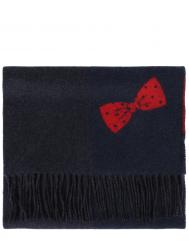 Шарф кашемировый Cesare Gatti