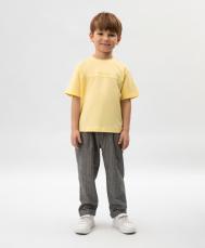 Брюки для мальчика серые в полоску Roberto Moretti