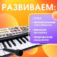 Синтезатор детский с микрофоном Zabiaka