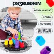 Развивающая игрушка IQ-ZABIAKA