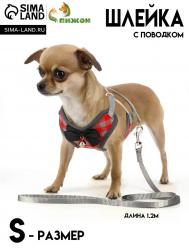 Комплект амуниции с мягкой шлейкой, s, поводок 120 х 1 см, ош 20-40 см, ог 30-44 см, красный Пижон