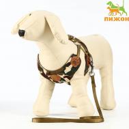 Комплект Пижон