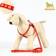 Комплект прошитый Пижон