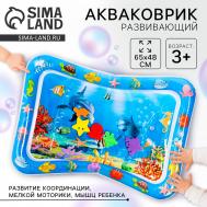 Акваковрик развивающий прямоугольный NO BRAND