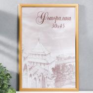 Фоторамка сосна с19 золото 30х45 см (пластиковый экран) NO BRAND