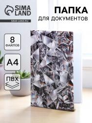Папка для семейных документов docs, 8 файлов а4 NO BRAND