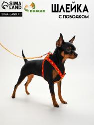 Комплект Пижон