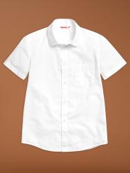 Сорочка Pelican