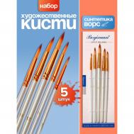 Набор кистей синтетика, 5 штук (№2,6,8,10,12), круглые, в блистере NO BRAND