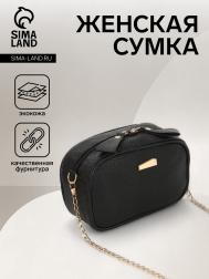 Сумка женская на молнии, цвет черный NO BRAND