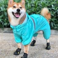 Комбинезон для собак, демисезонный с козырьком, размер l (дс 36, ог 51, ош 40 см), голубой NO BRAND