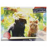 Набор для росписи холстов по контуру, по номерам  CANV30X40-MULTI68 Multi Art
