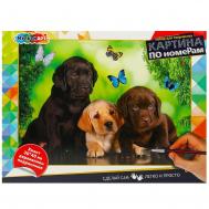 Набор для росписи холстов по контуру, по номерам  CANV30X40-MULTI67 Multi Art