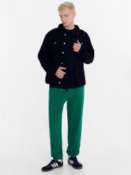 Брюки мужские в изумрудно-зеленом цвете Mark Formelle