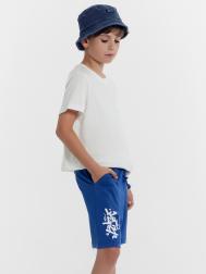 Шорты для мальчиков синие с печатью Mark Formelle