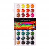 Краски акварельные 36 цветов, круглые, диаметр кюветы 23 мм, с кистью, пластиковый пенал,  top Calligrata