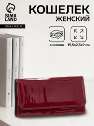 Кошелек женский на магните, цвет бордовый NO BRAND