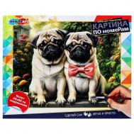 Набор для росписи холстов по контуру, по номерам  CANV40X50-115977 Multi Art
