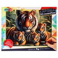 Набор для росписи холстов по контуру, по номерам  CANV40X50-115962 Multi Art
