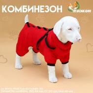 Комбинезон для собак со шлейкой Пижон